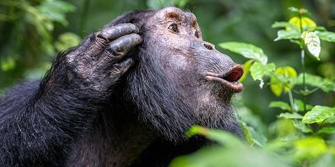 top-things-to-do-in-rwanda
