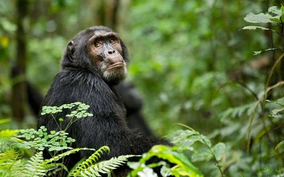 recommended-tour-companies-in-africa-for-tours