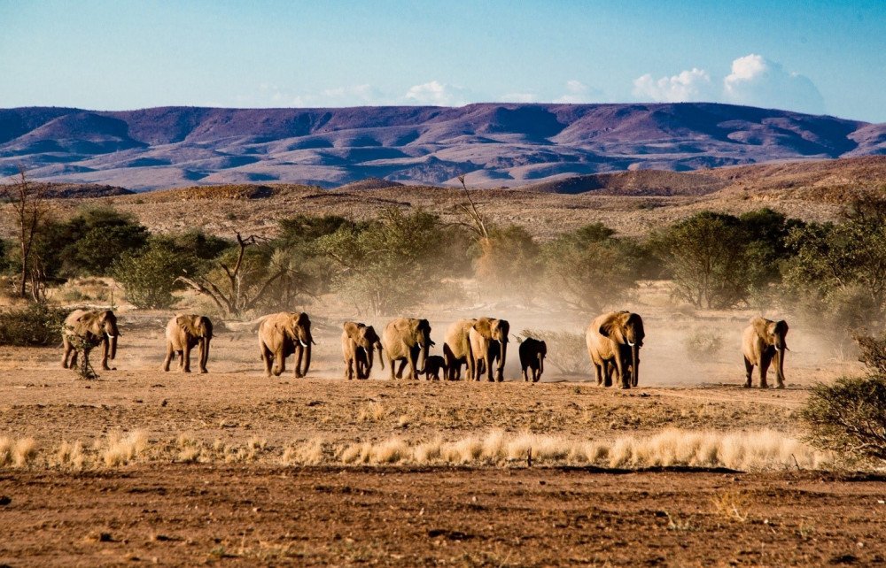 Namibia