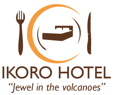 Pick and Transfer Safaris