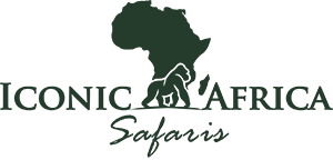 Iconic Africa Safaris logo