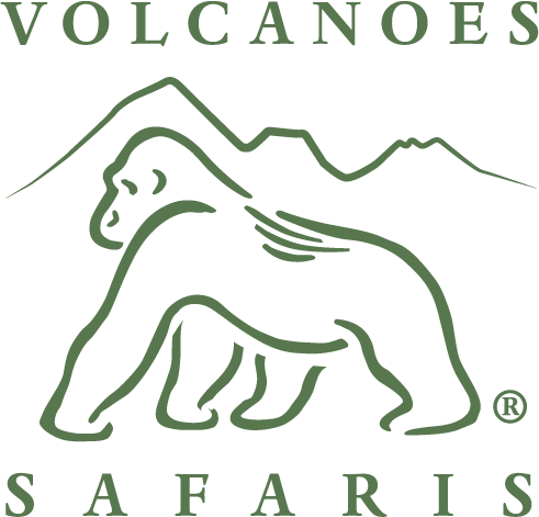 Virunga Lodge logo