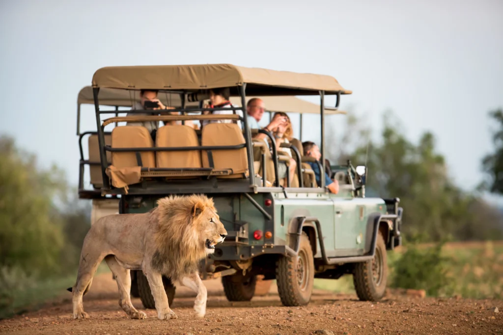 10-must-visit-places-in-south-africa