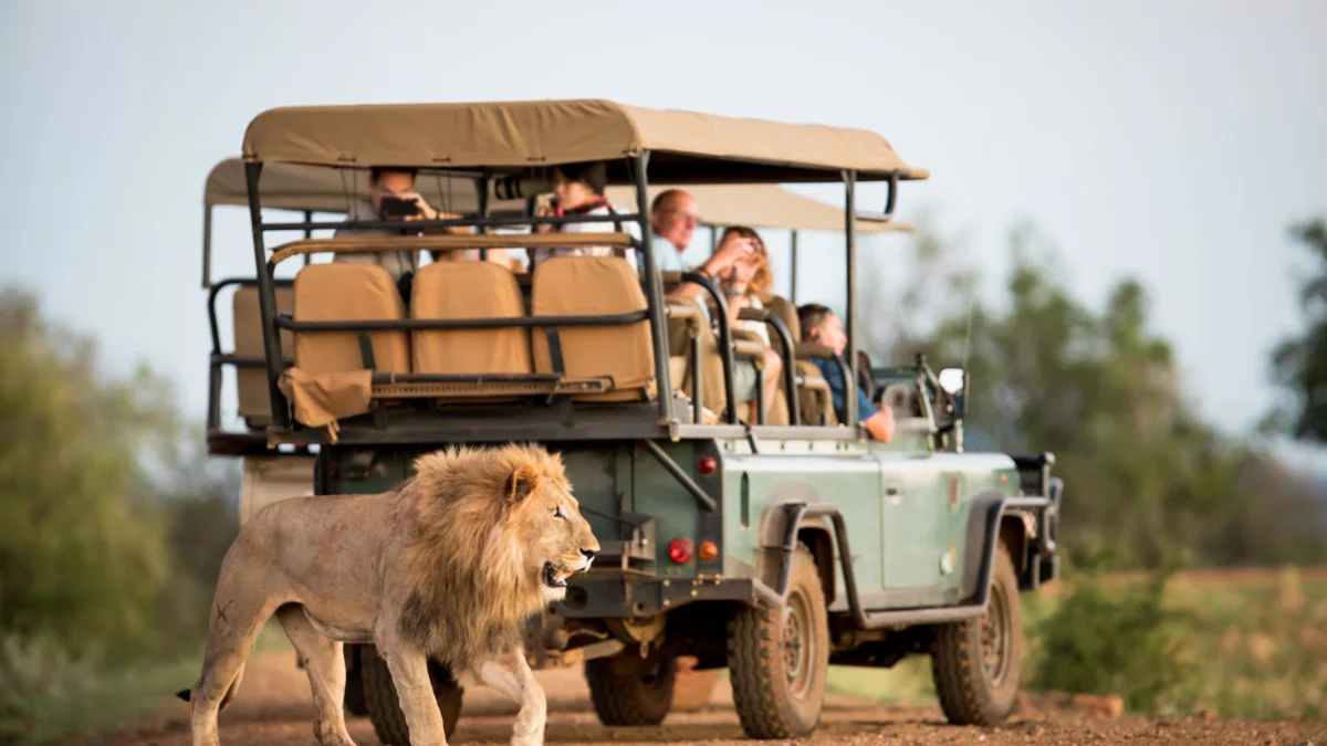 10-must-visit-places-in-south-africa
