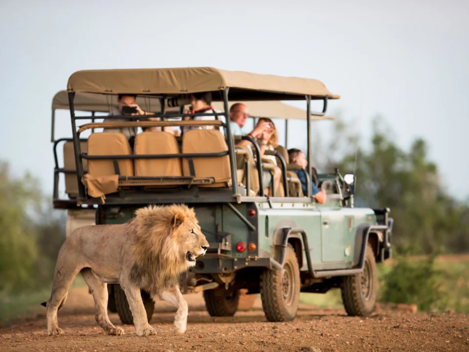 10-must-visit-places-in-south-africa